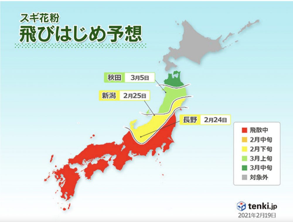 春の花粉症とお勧めの治療