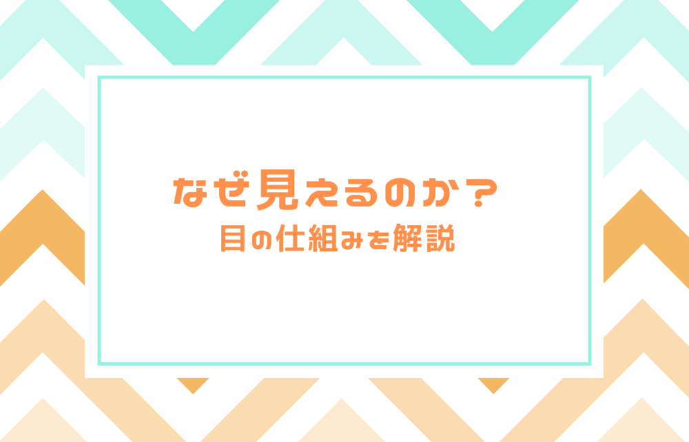 なぜ見えるのか？目の仕組みを解説します